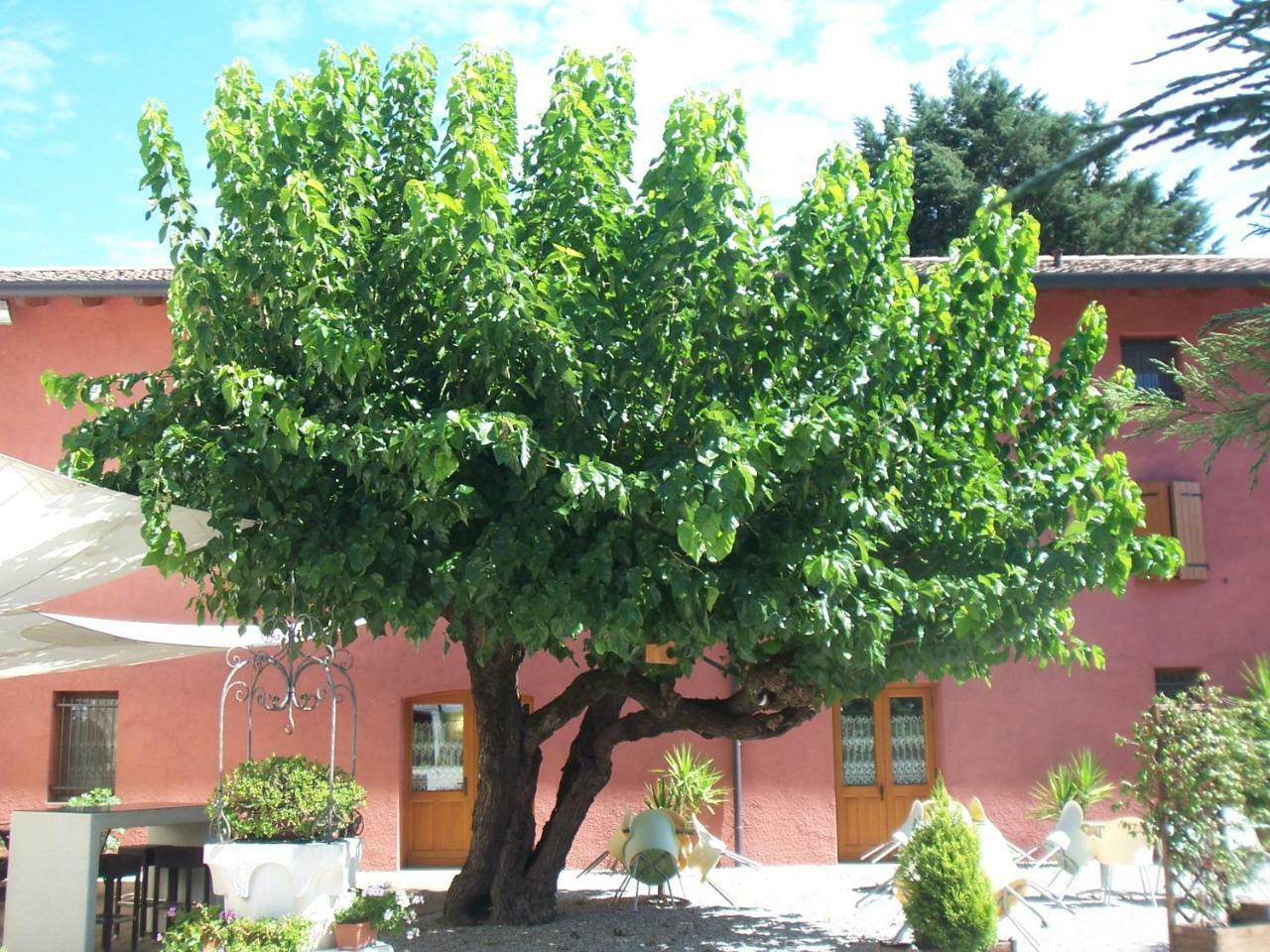 Agriturismo Al Casale Codroipo Exterior photo